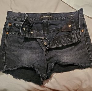 Aritzia Denim Forum Jean Shorts